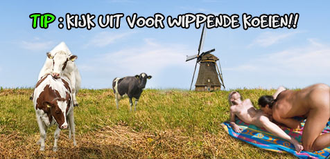 snelseks.nl